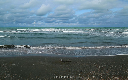 aB XttC6NDBagrvzHsw7kHHTdlwIFl86N22saqzRK bihMZ jiQKC6sm6u7Qq3AwTeaOrYWvAfJRF623s1faPgbpn6h5fF2XBRDJ.jpg