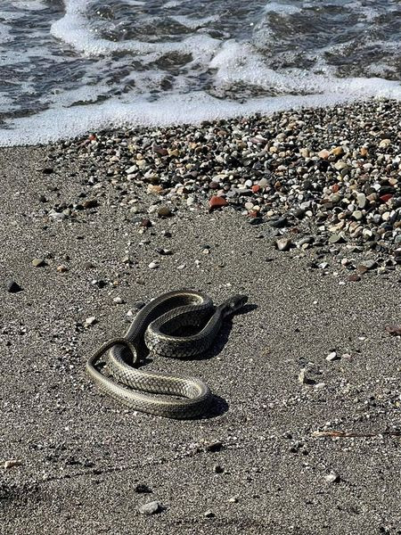 454772028 523109766904158 650827872015652302 n.jpg?stp=dst jpg s600x600& nc cat=111&ccb=1 7& nc sid=.jpg