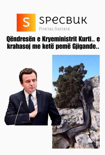 454764553 799840959024920 6964016259580785780 n.jpg?stp=dst jpg p526x296& nc cat=109&ccb=1 7& nc sid.jpg