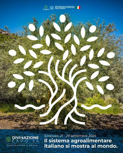 455094045 1077618210390648 8242983503964363119 n.jpg?stp=dst jpg s640x640& nc cat=103&ccb=1 7& nc si.jpg