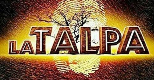 14733942709205409058?url=https%3A%2F%2Fstatics.cedscdn.it%2Fphotos%2FMED HIGH%2F53%2F32%2F8295332 12.jpg