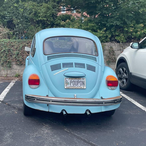 454901561 1055138893069468 2596348199595968665 n.jpg