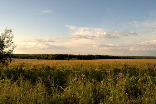 DSC 0011.jpg
