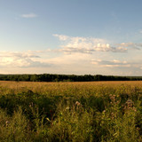 DSC 0011