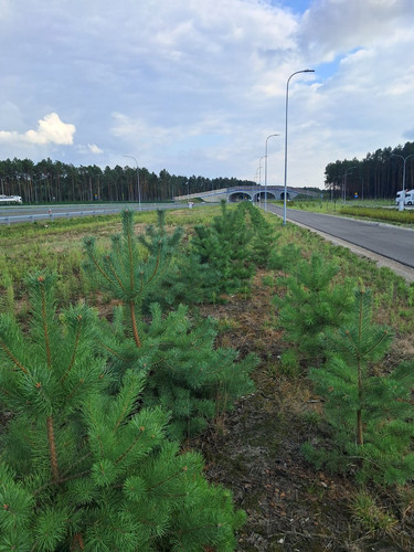 GUjwg gWEAAi9YH?format=jpg.jpg