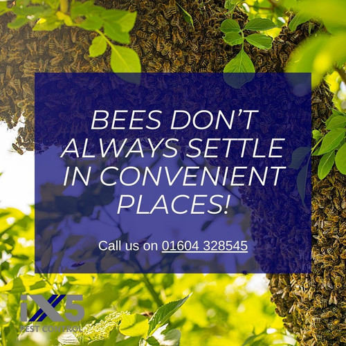 GUhgovNXIAA jhL?format=jpg.jpg