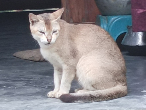 IMG 20240811 174755 797.jpg