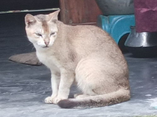 IMG 20240811 174800 781.jpg