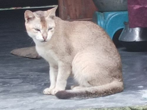 IMG 20240811 174758 335.jpg