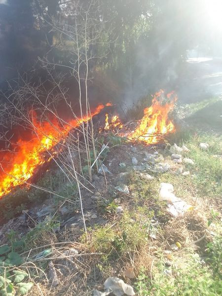 455251941 930029709137838 8121551529902348973 n.jpg?stp=dst jpg s600x600& nc cat=105&ccb=1 7& nc sid.jpg