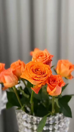 hb3KisrlToAm Ra .jpg