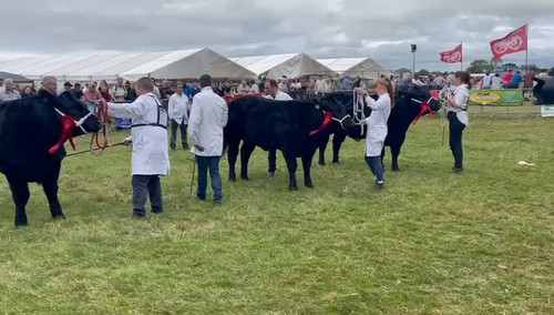 61UVqF57 YJC4V7G.jpg