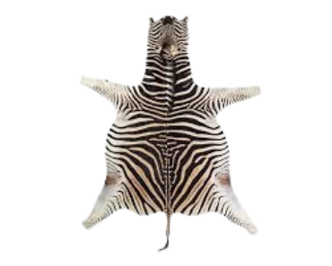 image 2024 08 11 220436168.png