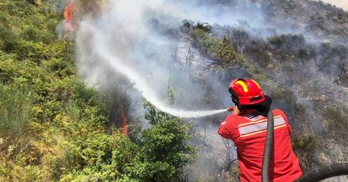 14534795579222508157?url=https%3A%2F%2Frd.al%2Fwp content%2Fuploads%2F2024%2F08%2Fzjarr fikes.jpeg&f.jpg