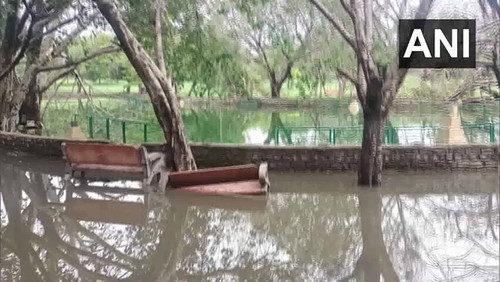 mfHO9Qpd27 Mn46x.jpg