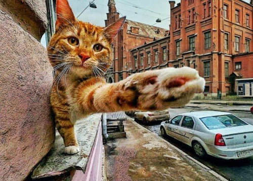 spHcCg0yFRjWXUTDaBBYkMGg38ZrqlnzBYOFwZpJ04 Dr9wpf5tM8P5PYrzeNaMX9e SQQ8TIZPruBj6UVhO3Q8JpsOlbWY8lLoe.jpg