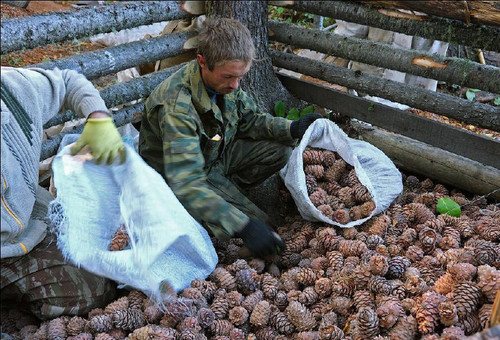 iFWrSLm10sLRgixt 157JMdK7n0qSw5RDaE2sjfNhtlGpRmAJVL02FvhYl19icxWuGzuuJquQkf9izl lgRXdy27oZgL4VkRAdmS.jpg