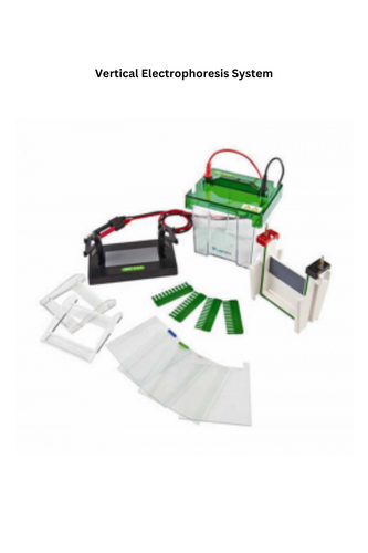 Vertical Electrophoresis System.png