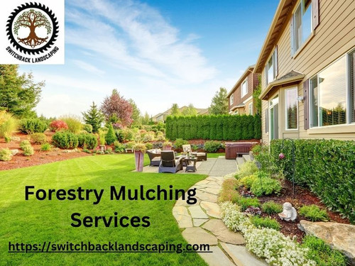 Efficient Forestry Mulching Services by Switchback Landscaping.jpg