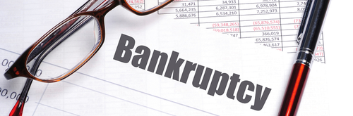 Duties of a Bankruptcy Trustee – Chapter 13 Bankruptcy.png