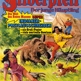 Silberpfeil 491