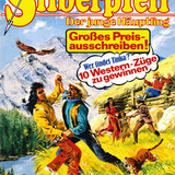 Silberpfeil 496
