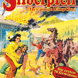 Silberpfeil 485