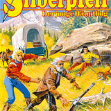 Silberpfeil 482