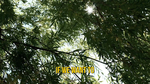 Cg3C Wqi7psNhcyC.jpg