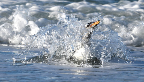 GUurGz XsAEupGA?format=jpg.jpg