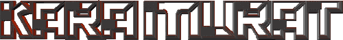 4.gif