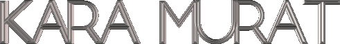 12.gif