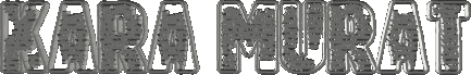 11.gif