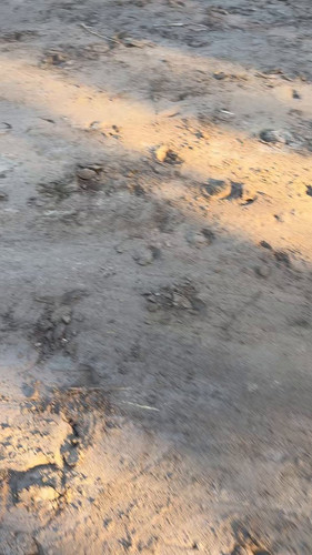 RNT6hN 7ri Xvbp0.jpg