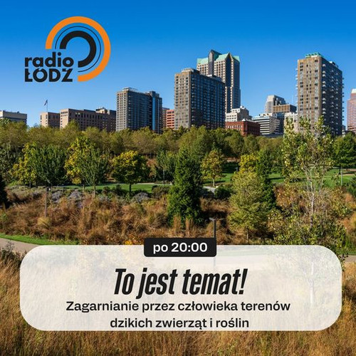 454870608 1010519074417123 7191915688517762449 n.jpg?stp=dst jpg p526x296& nc cat=103&ccb=1 7& nc si.jpg