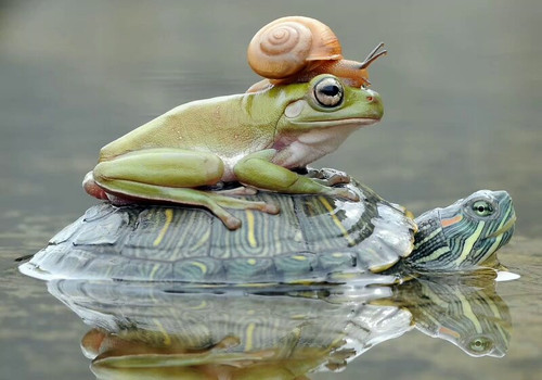 SYarrFkgxa2Fm Rm.jpg