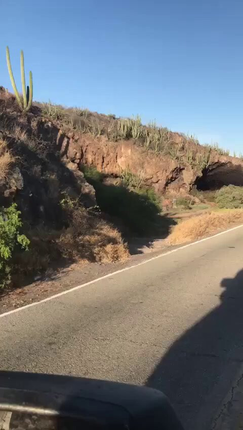 P6 2QMAMNz4zxx3V.jpg