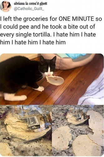 454378430 887408906764328 7891617927744256801 n.jpg