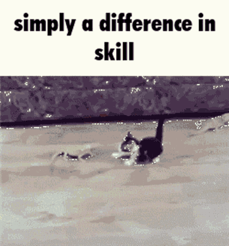 BDD7A282 D634 4D7D B1F9 F37761F26E5B.gif