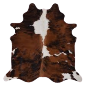image 2024 08 11 014141135.png