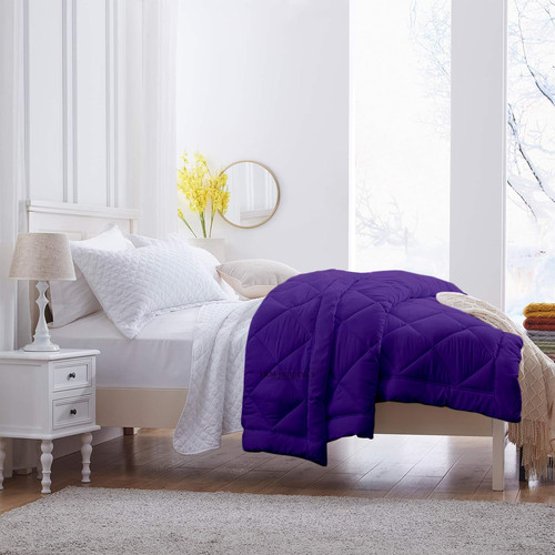 Purple (2).jpg