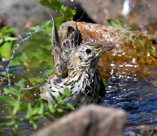 GUpoApWXQAA 9tL?format=jpg.jpg