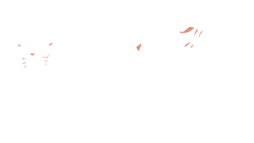 Untitled263 20240811231514.png