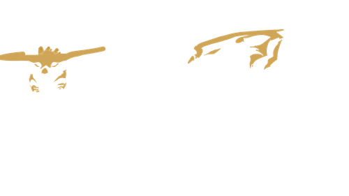 Untitled263 20240811231454.png