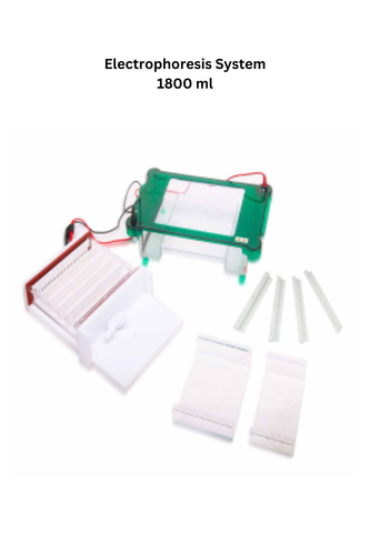 Electrophoresis System 1800 ml.png