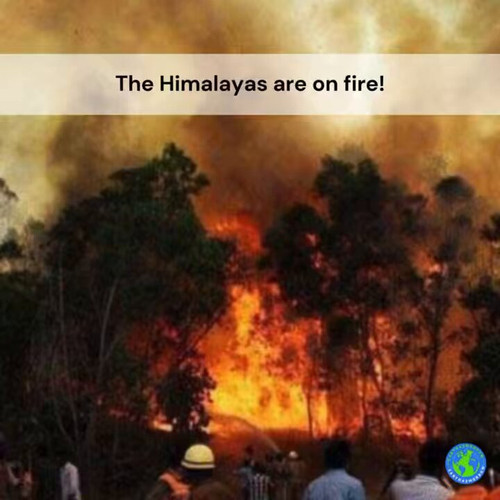 7TGpAmtpqv8cdX5 .jpg