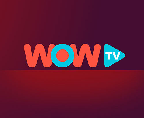 wow tv01 500x408.jpg