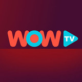 wow tv01 500x408