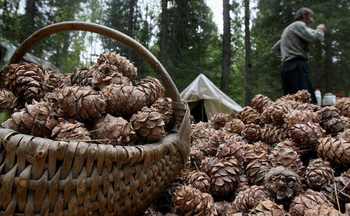 aaXWi1GjsOzP6S7sIvTtat9ECZ0LGs1JEdayLdp8ko2kBrGl28ogTluGSENsYNvGutC1o31S 9A46BiO3qhTog2Q9wWZupt cTYl.jpg