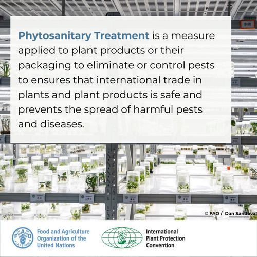 GUyP 4HWcAA6XkE?format=jpg.jpg